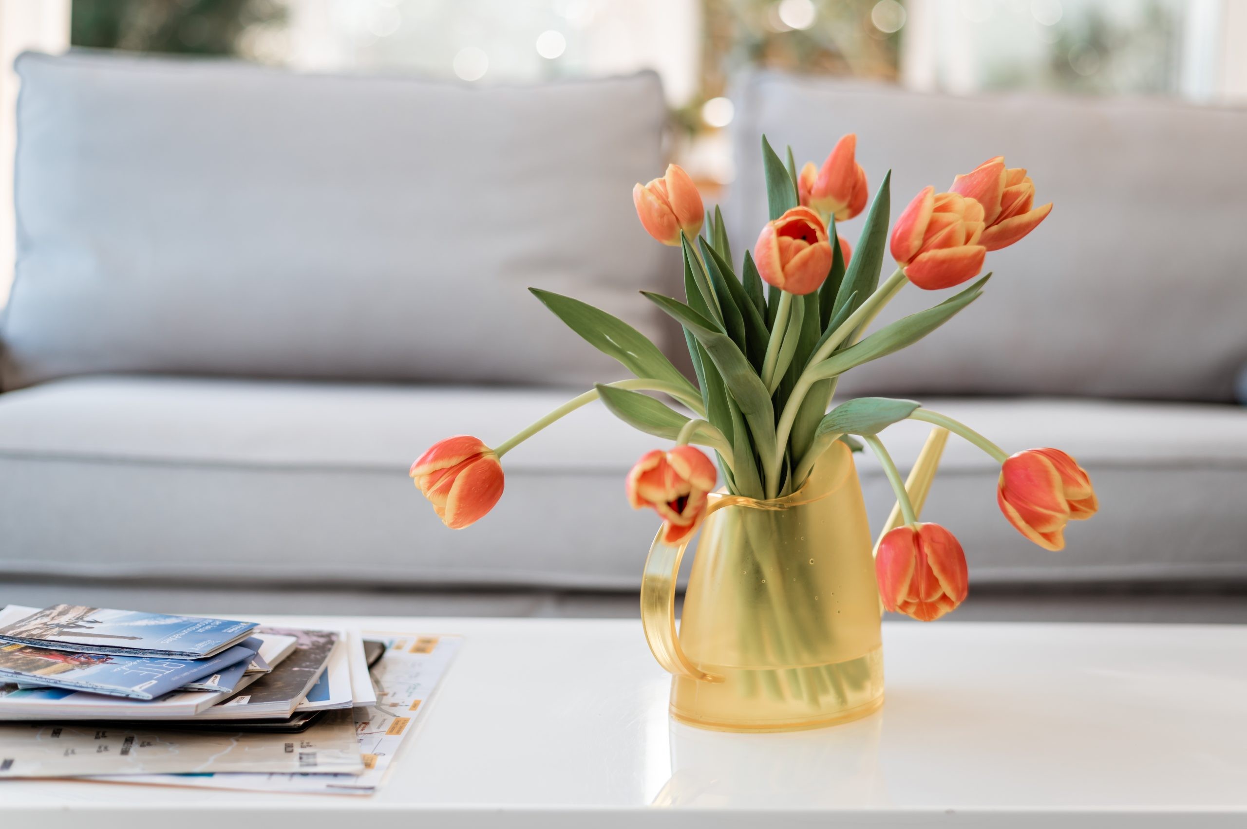 Photo n° 11 de la location