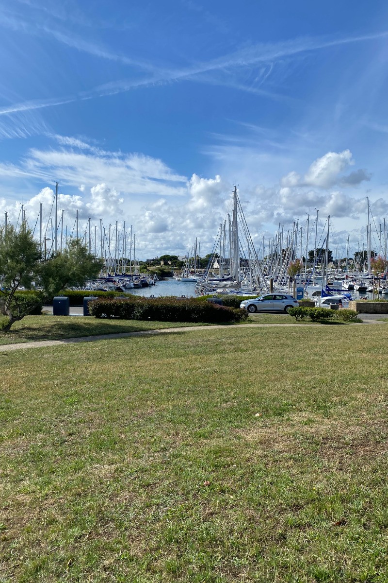 vue depuis la terrasse