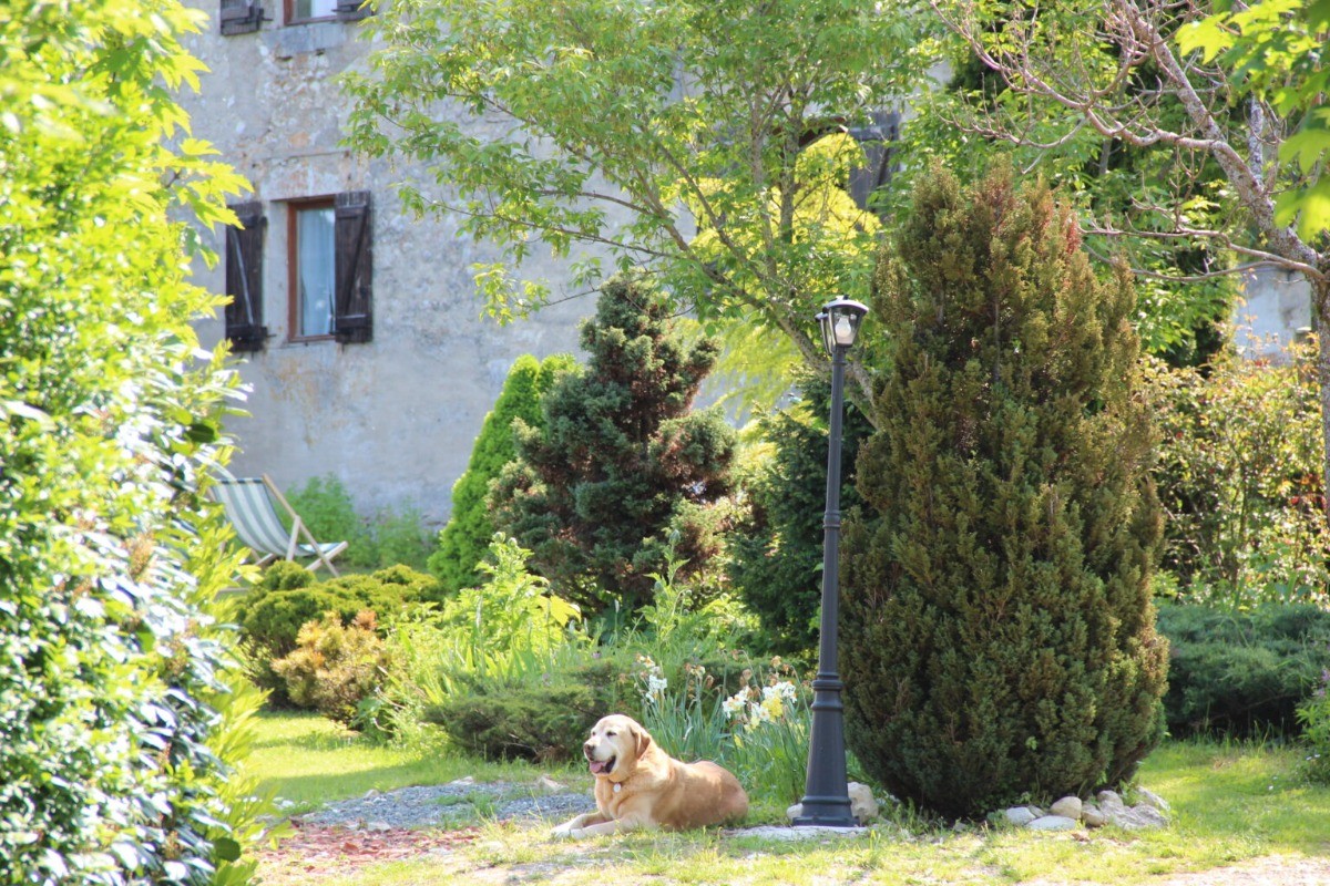 Photo n° 6 de la location