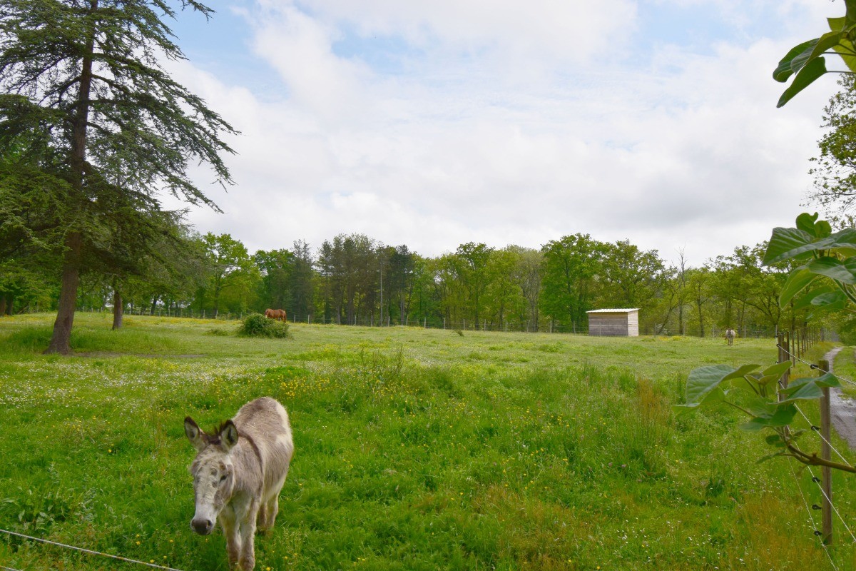 Ferme et animaux