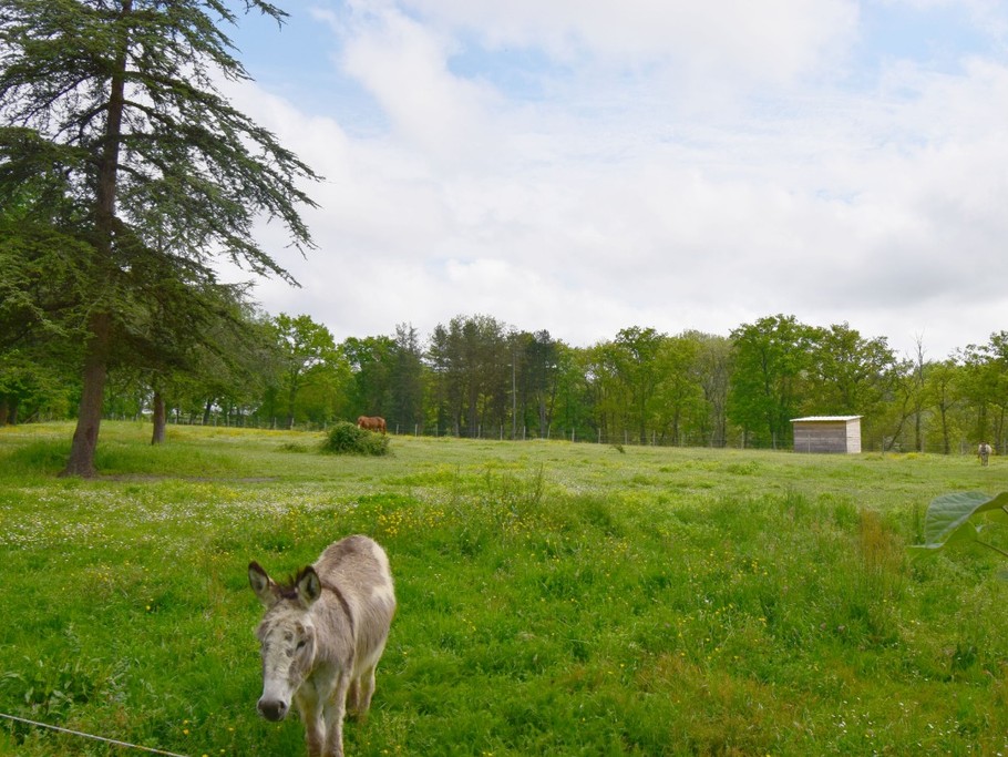 Ferme et animaux