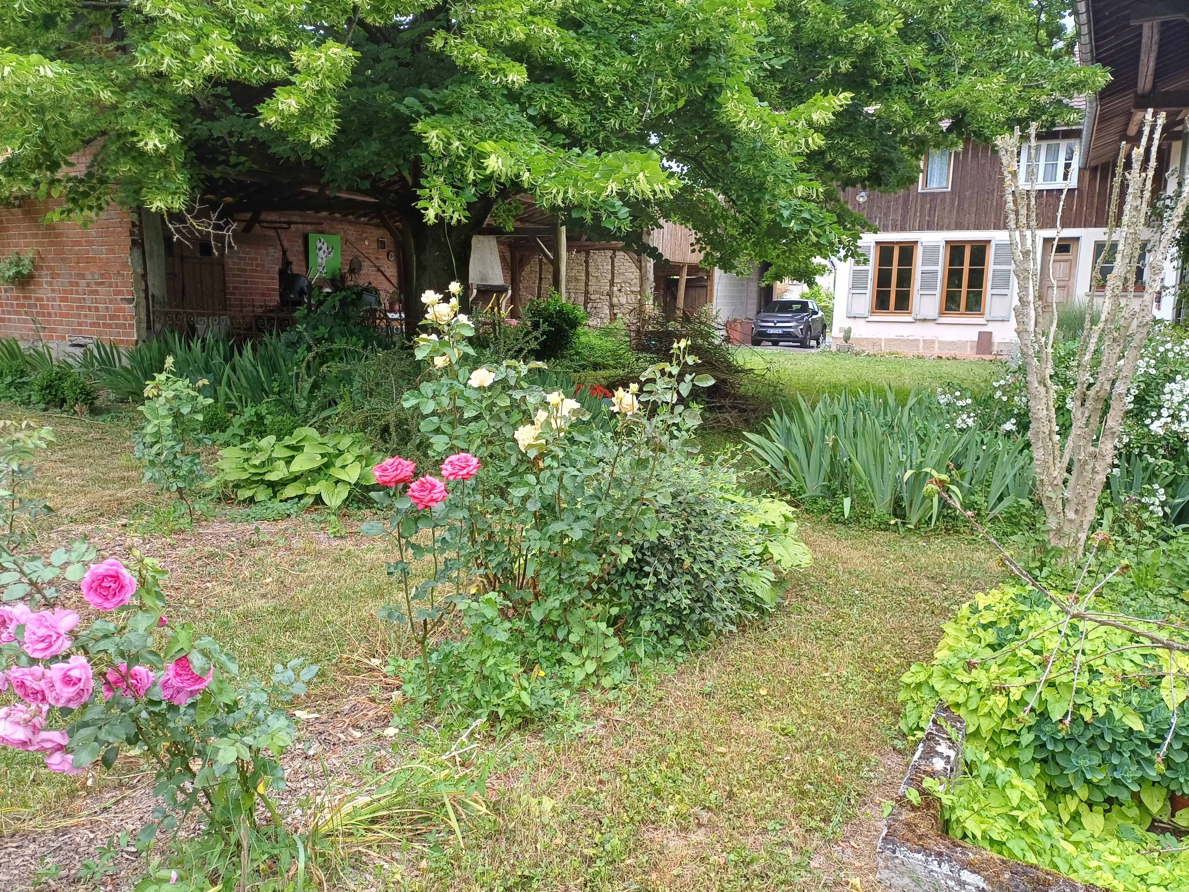 Photo n° 1 of the location