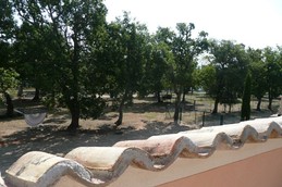 La Maison du Lavandin Sainte Croix du Verdon