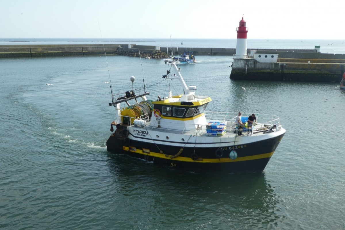 Daily return of boats to the fishing port of Guilvinec