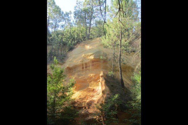 Photo n° 16 de la location