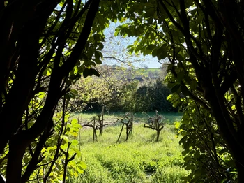 Photo n° 11 of the location
