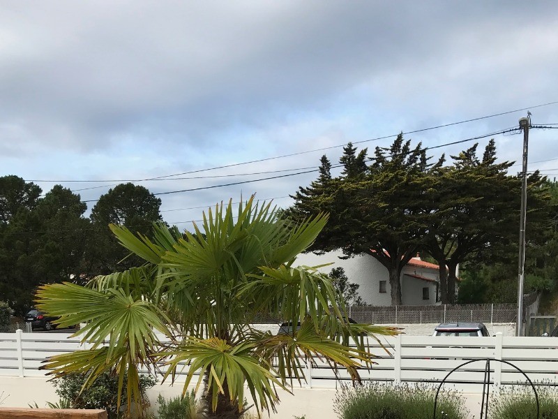 Photo n° 15 of the location