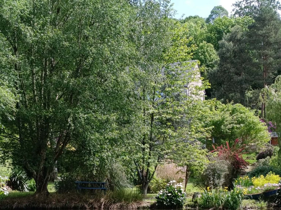 Communal garden