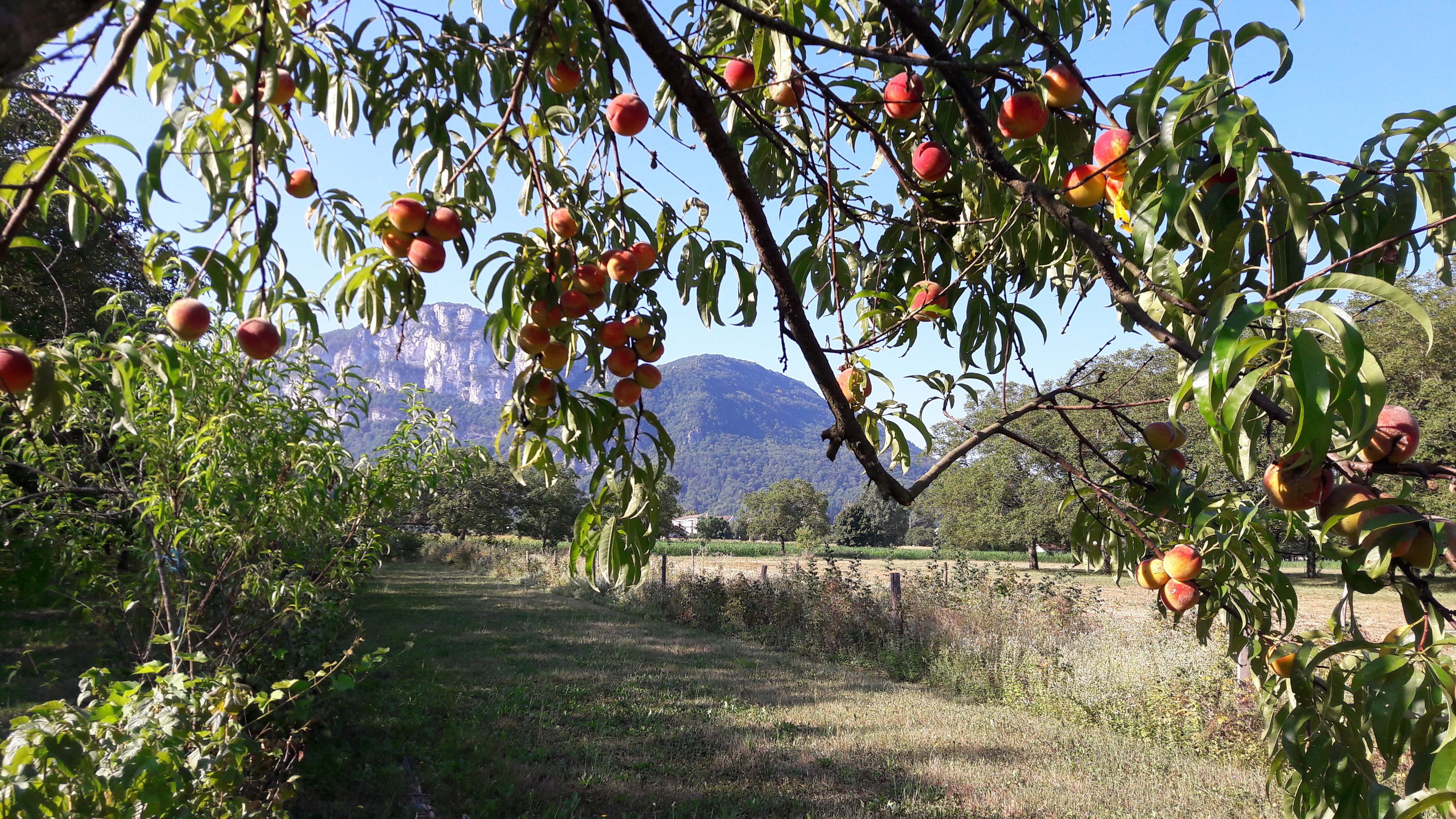 Photo n° 15 of the location