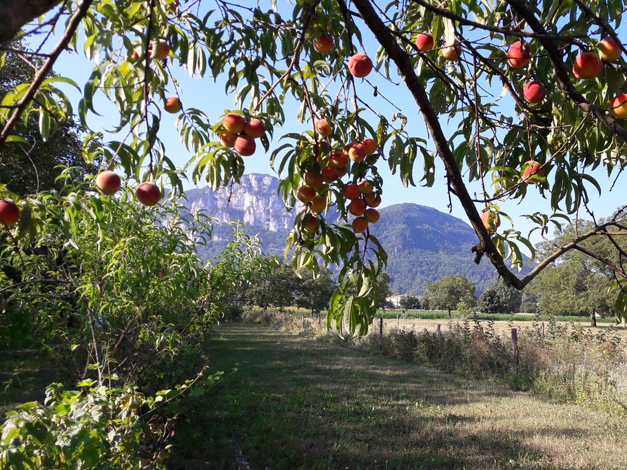 Photo n° 15 of the location