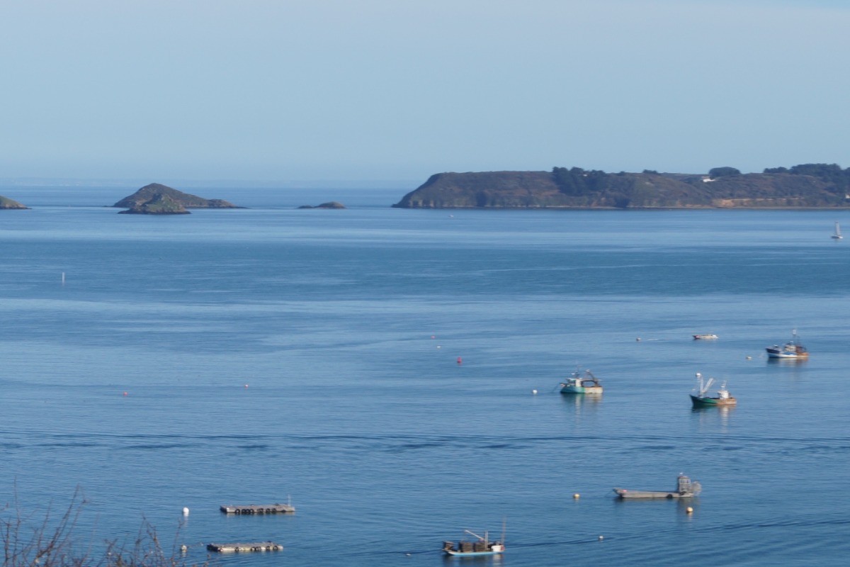 Le port de Pors Even/ la pointe de Plouezec en face