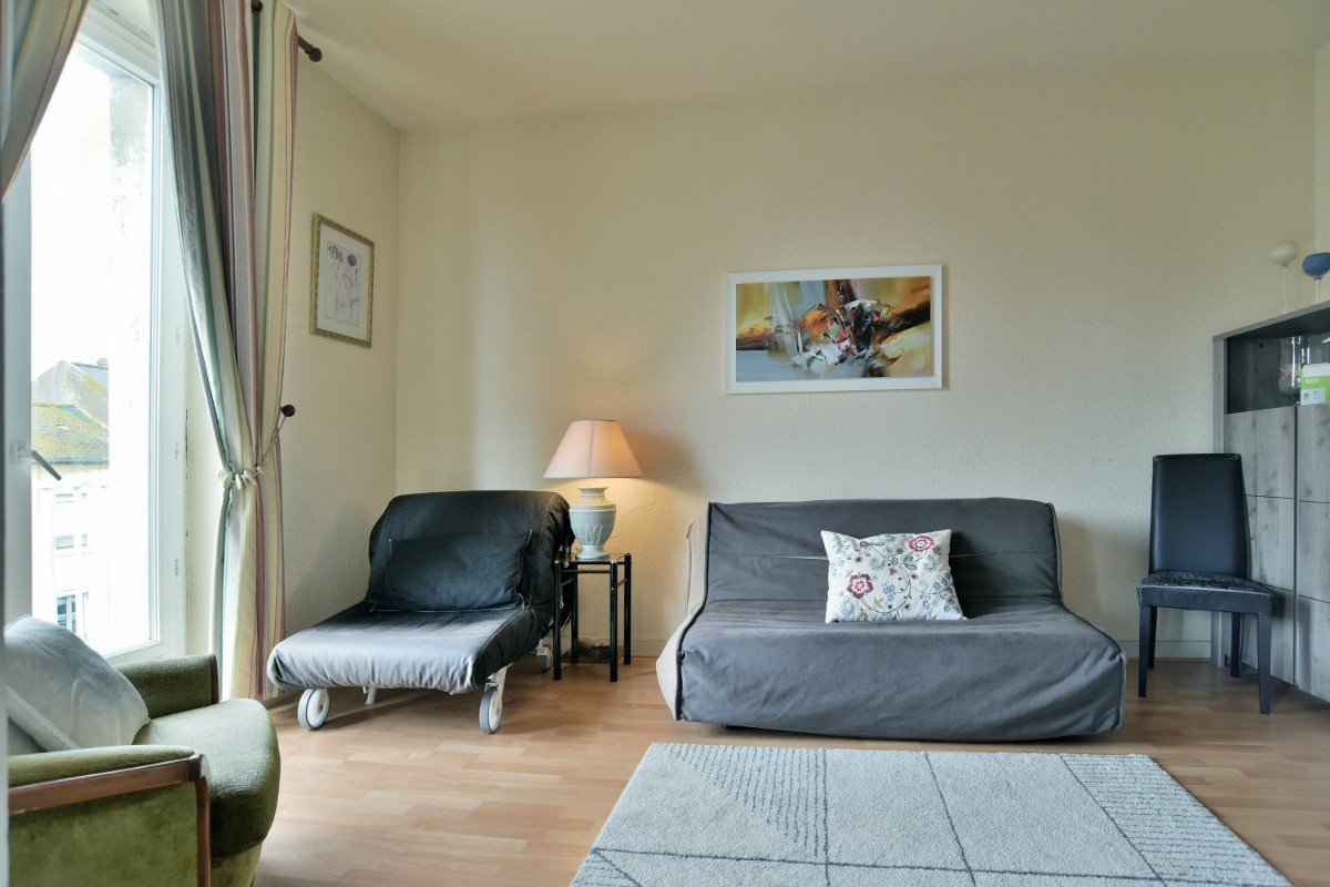 Dans le salon. Canapé-lit confortable pour 2 personnes.
