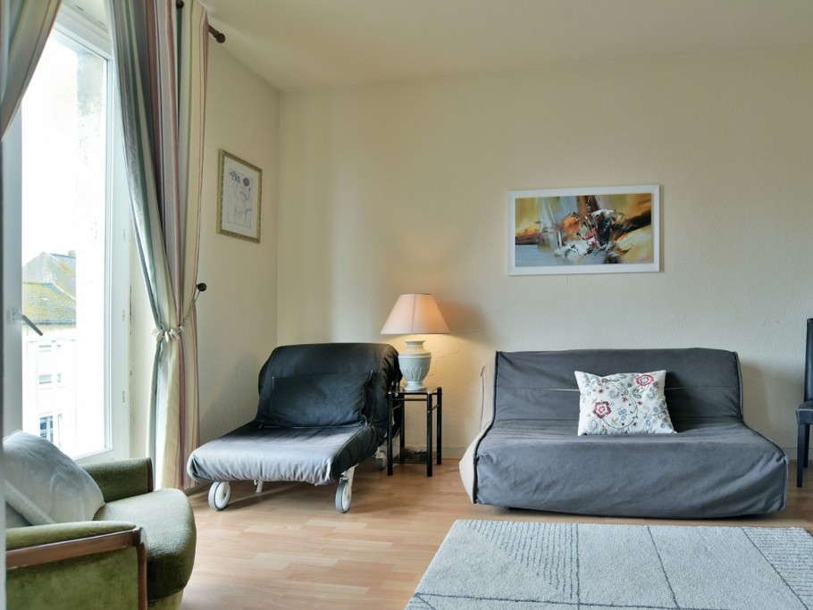 Dans le salon. Canapé-lit confortable pour 2 personnes.