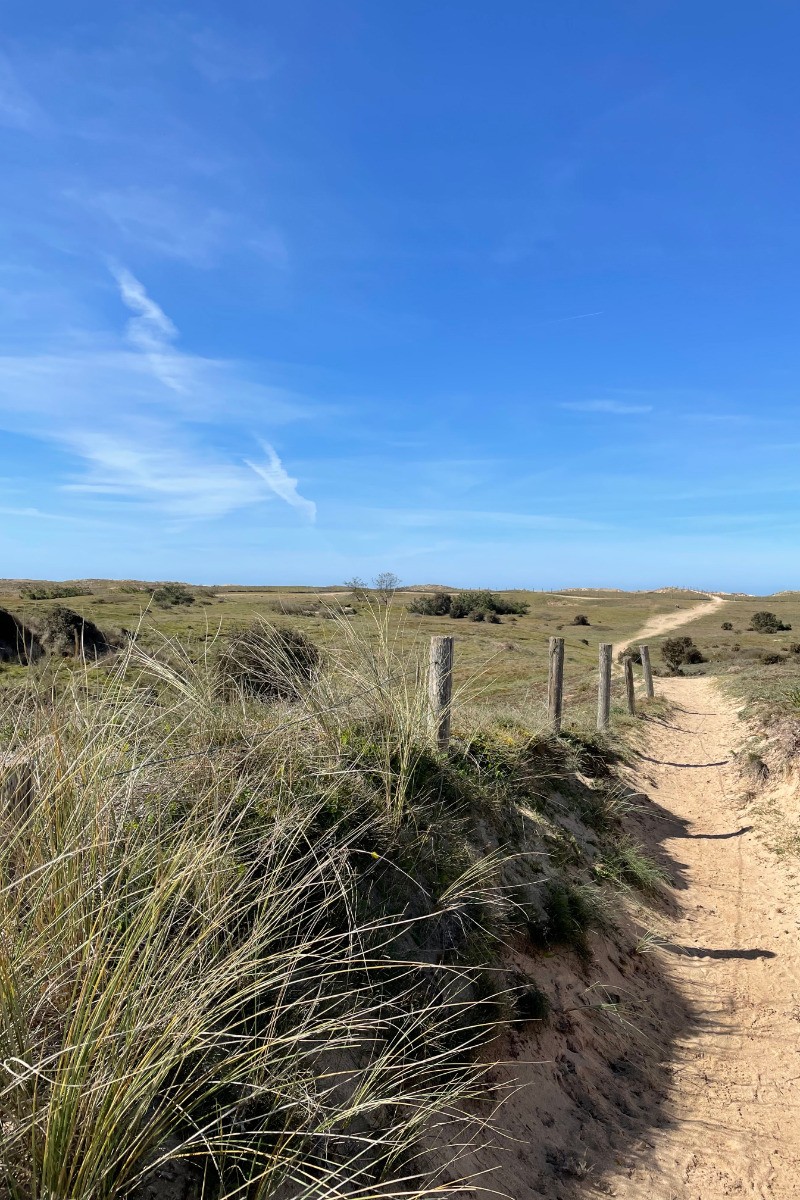 la dune
