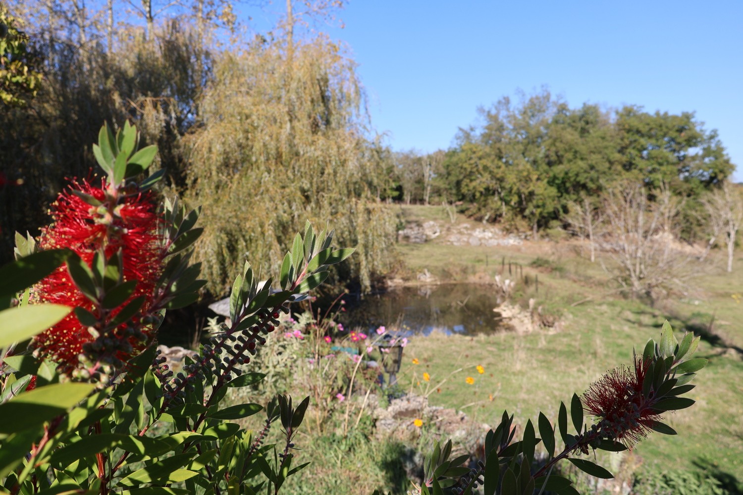 Photo n° 8 de la location