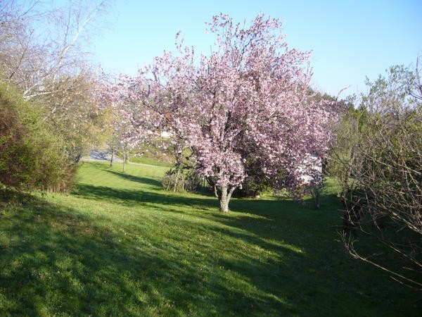 Photo n° 16 de la location