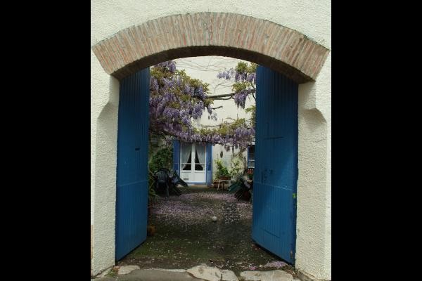 Le portail, et la glycine en floraison