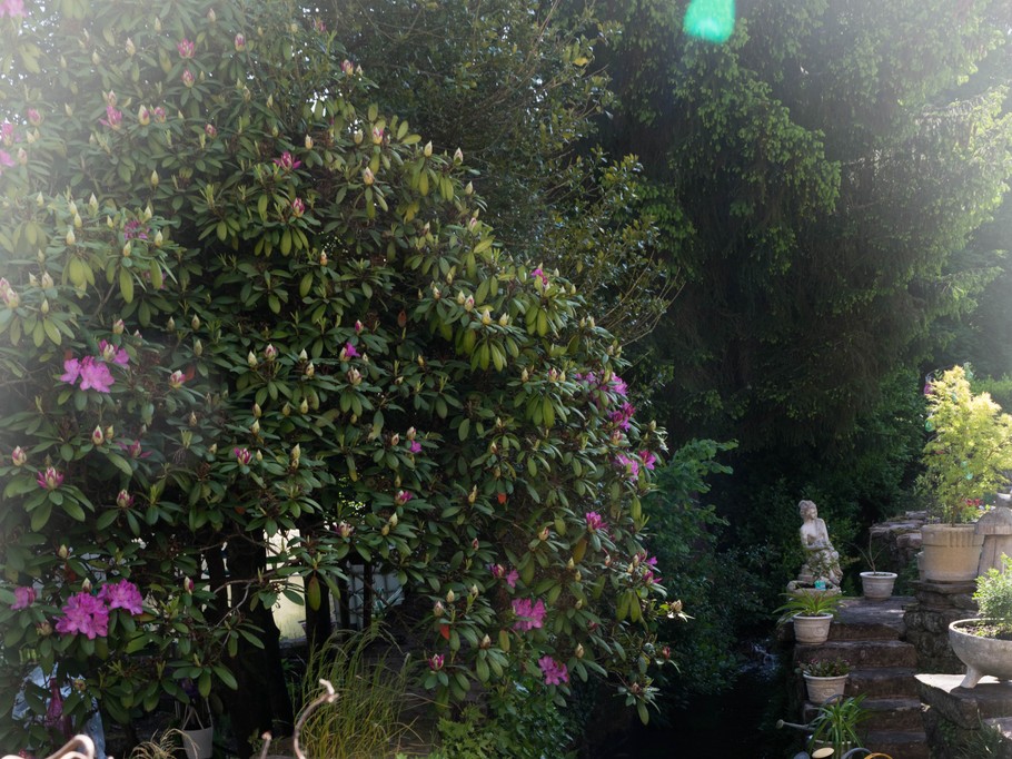 Photo n° 2 de la location