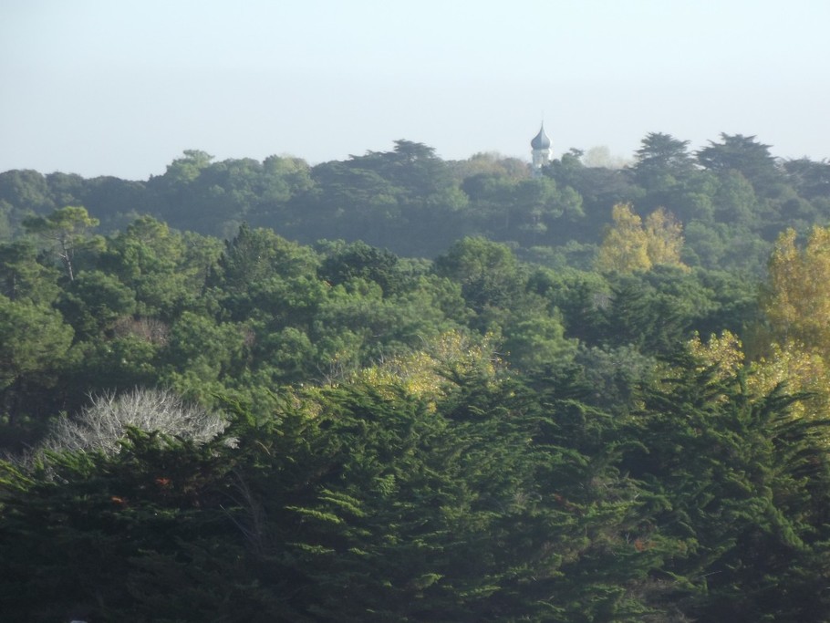 Photo n° 8 of the location