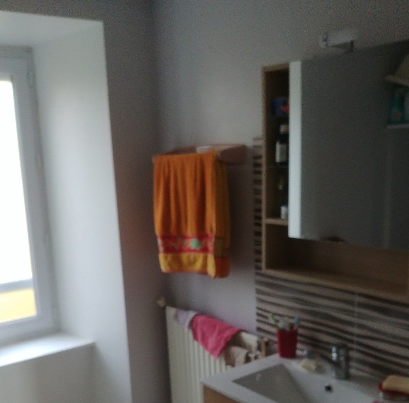 Salle d'eau vue droite