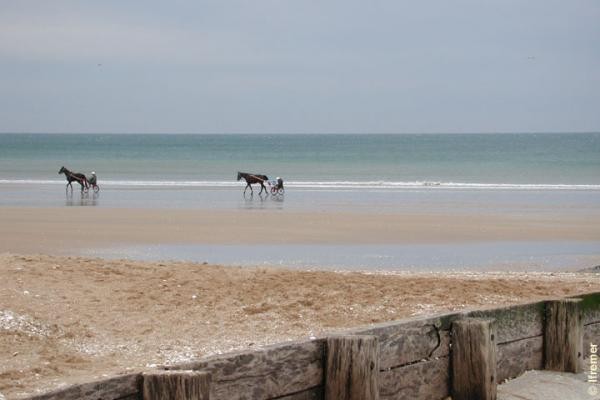 la plage vue de l'appartement