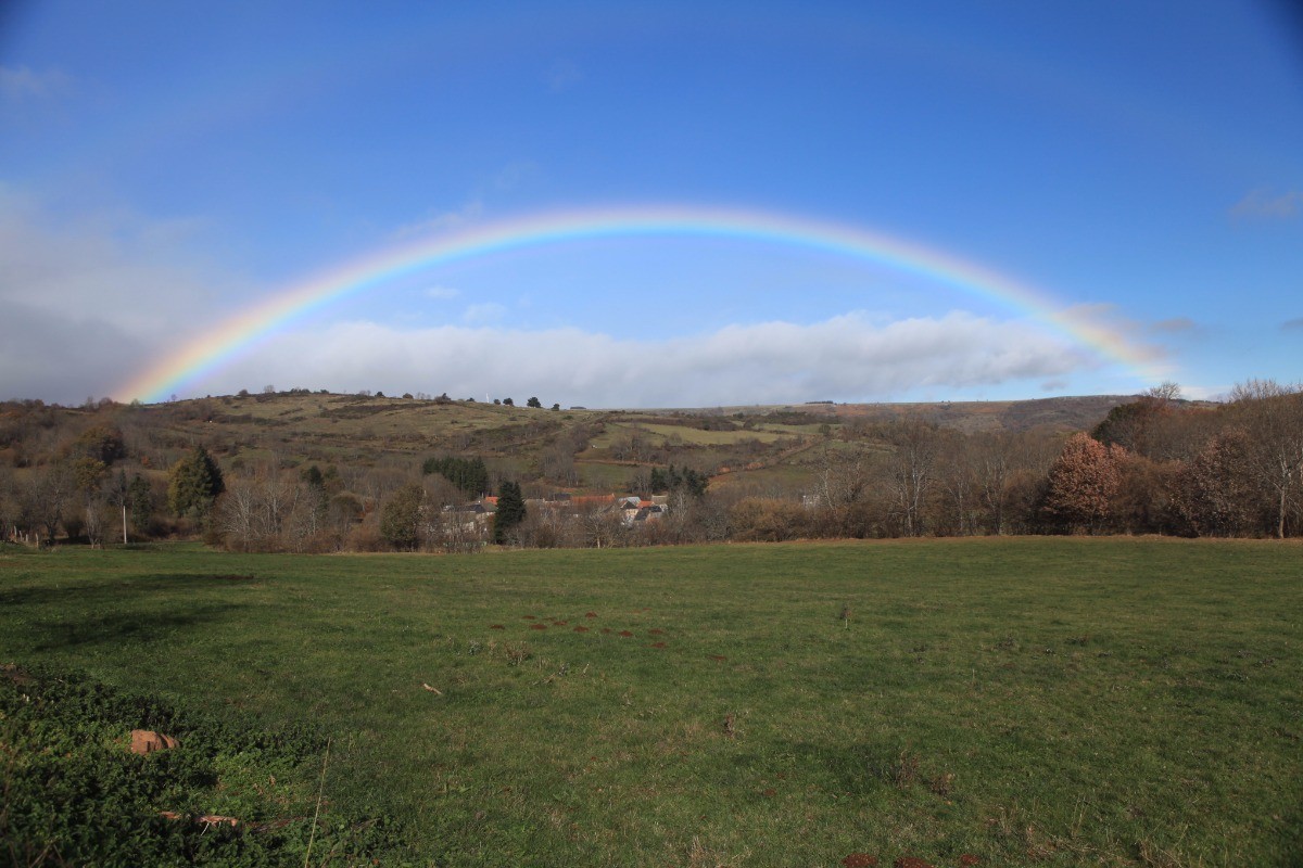 Mazoires - Cézallier - Nature