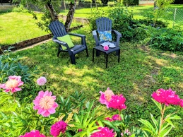 In the shade under the apple tree