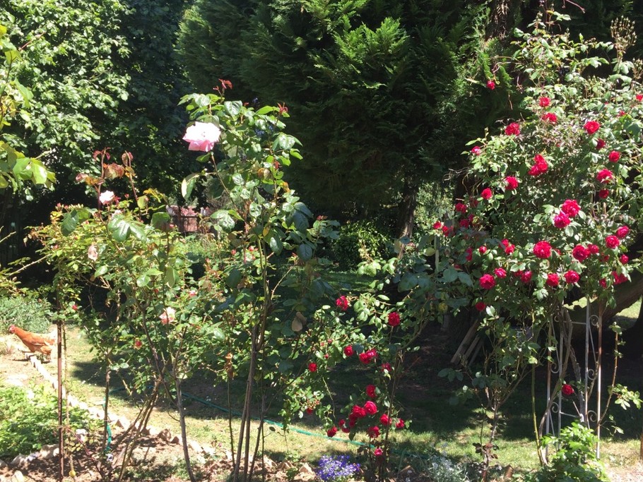 Photo n° 14 de la location