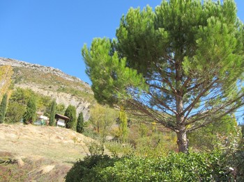 Photo n° 23 of the location