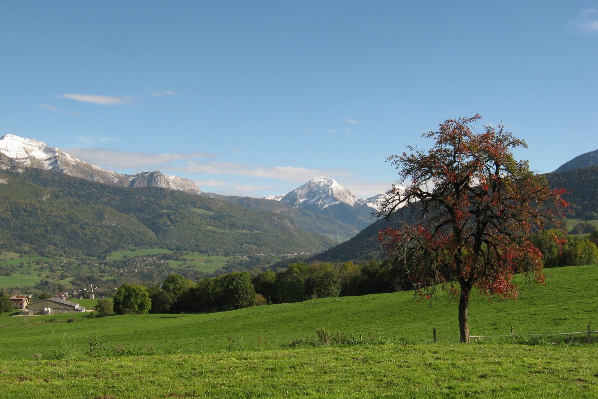 Coté sud en automne
