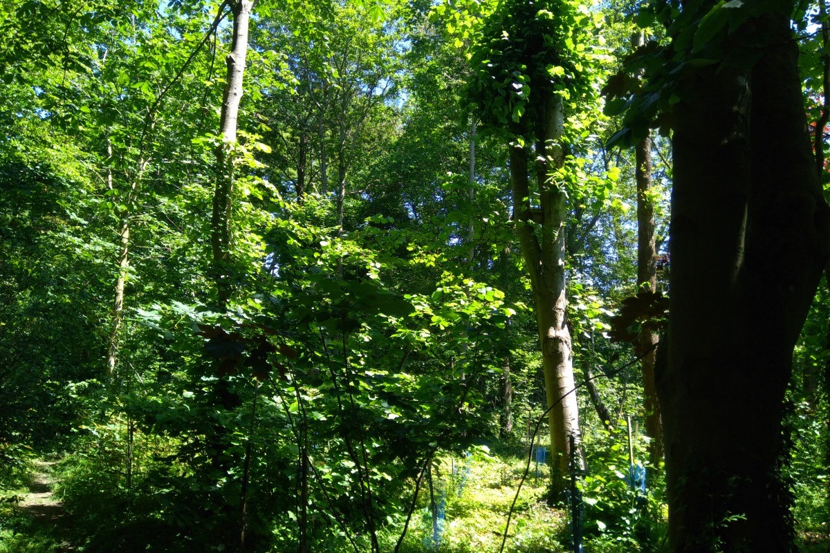 Photo n° 15 de la location