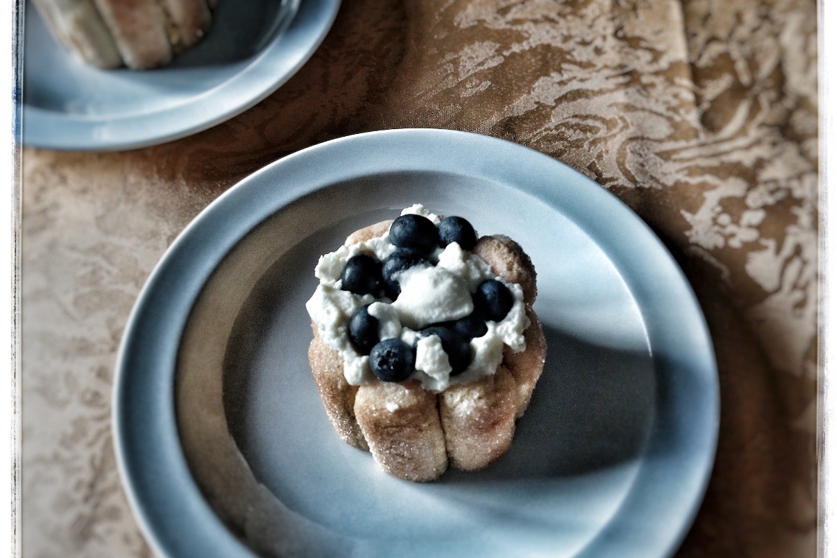 Charlottes aux myrtilles Maison