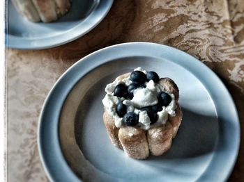 Charlottes aux myrtilles Maison