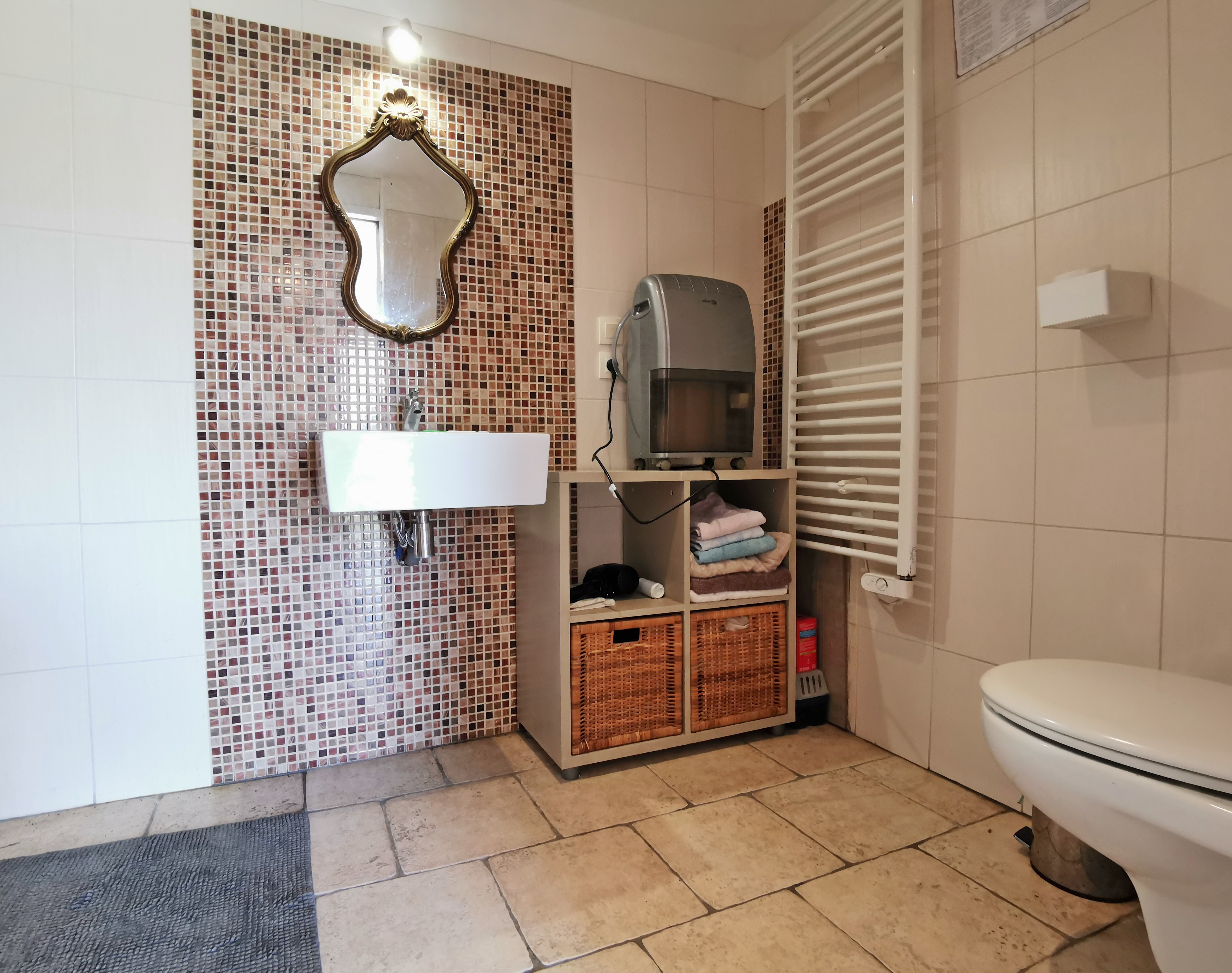 RDC: Salle d'eau avec WC
