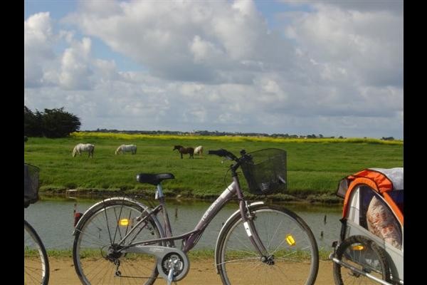 Balades sur la piste cyclable qui longe le Clos des Marais