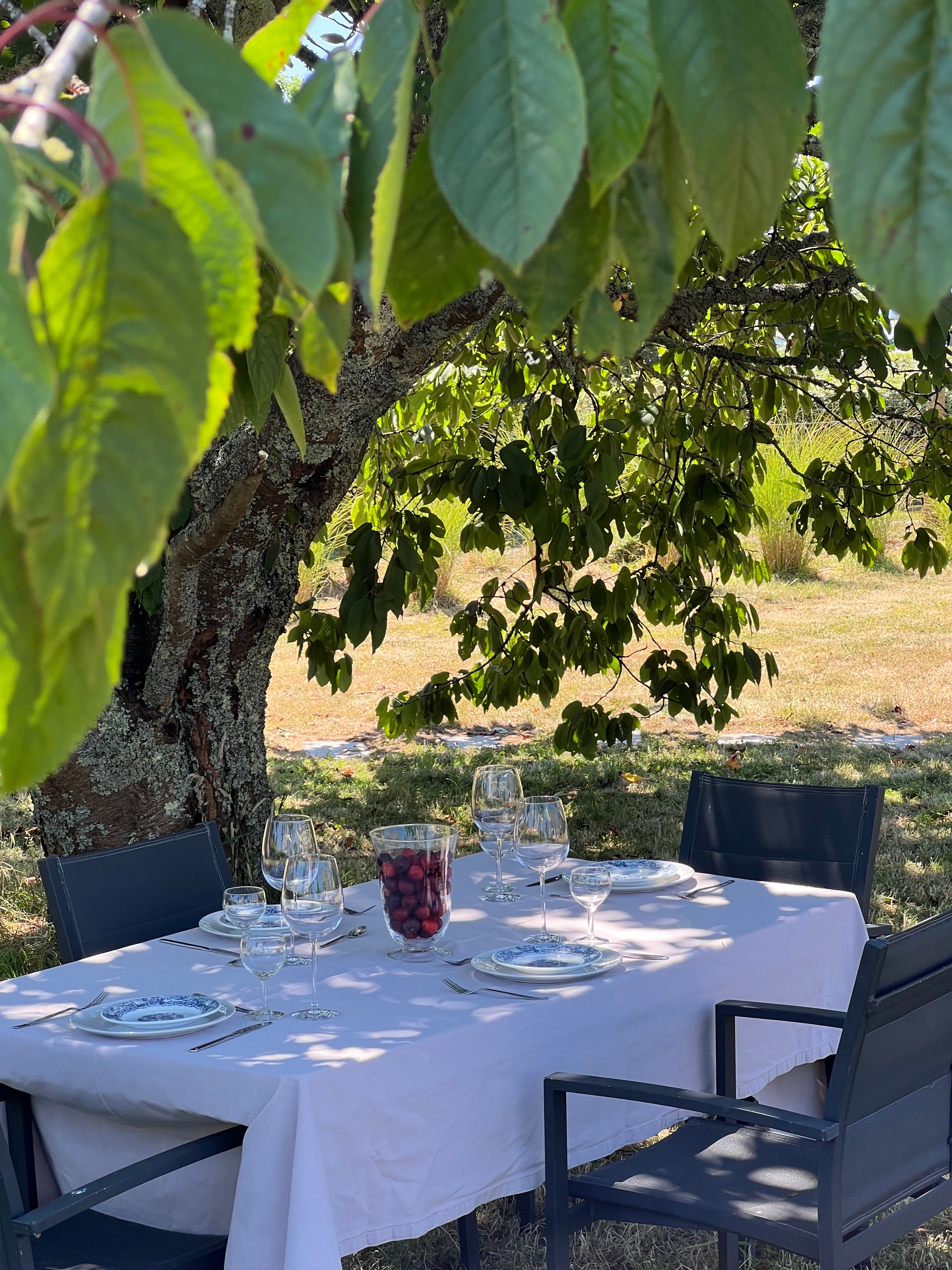 Table à l'ombre sous cerisier