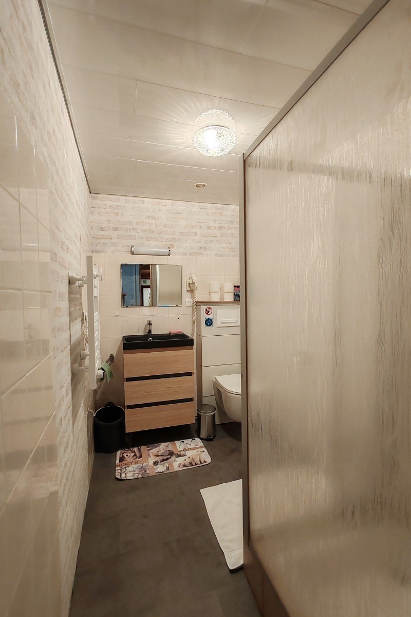 Salle d'eau avec wc - Appartement Domaine du Hêtre proche des Thermes