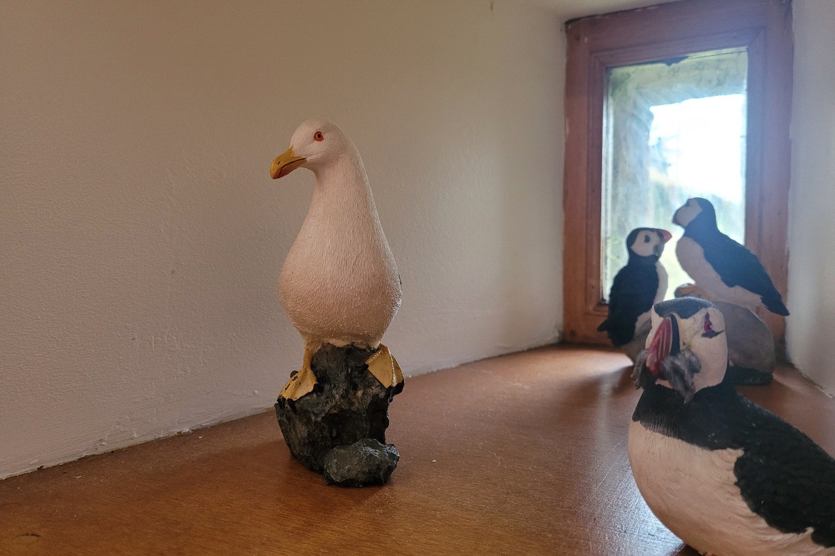 Location, Longère, Roche aux oiseaux, Ploubazlanec, détail décoratif