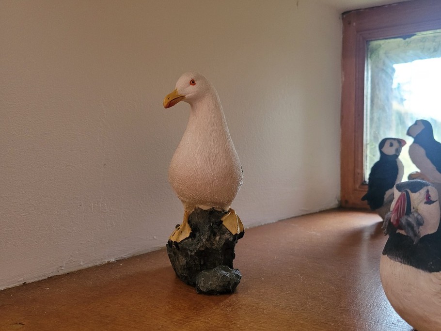 Location, Longère, Roche aux oiseaux, Ploubazlanec, détail décoratif