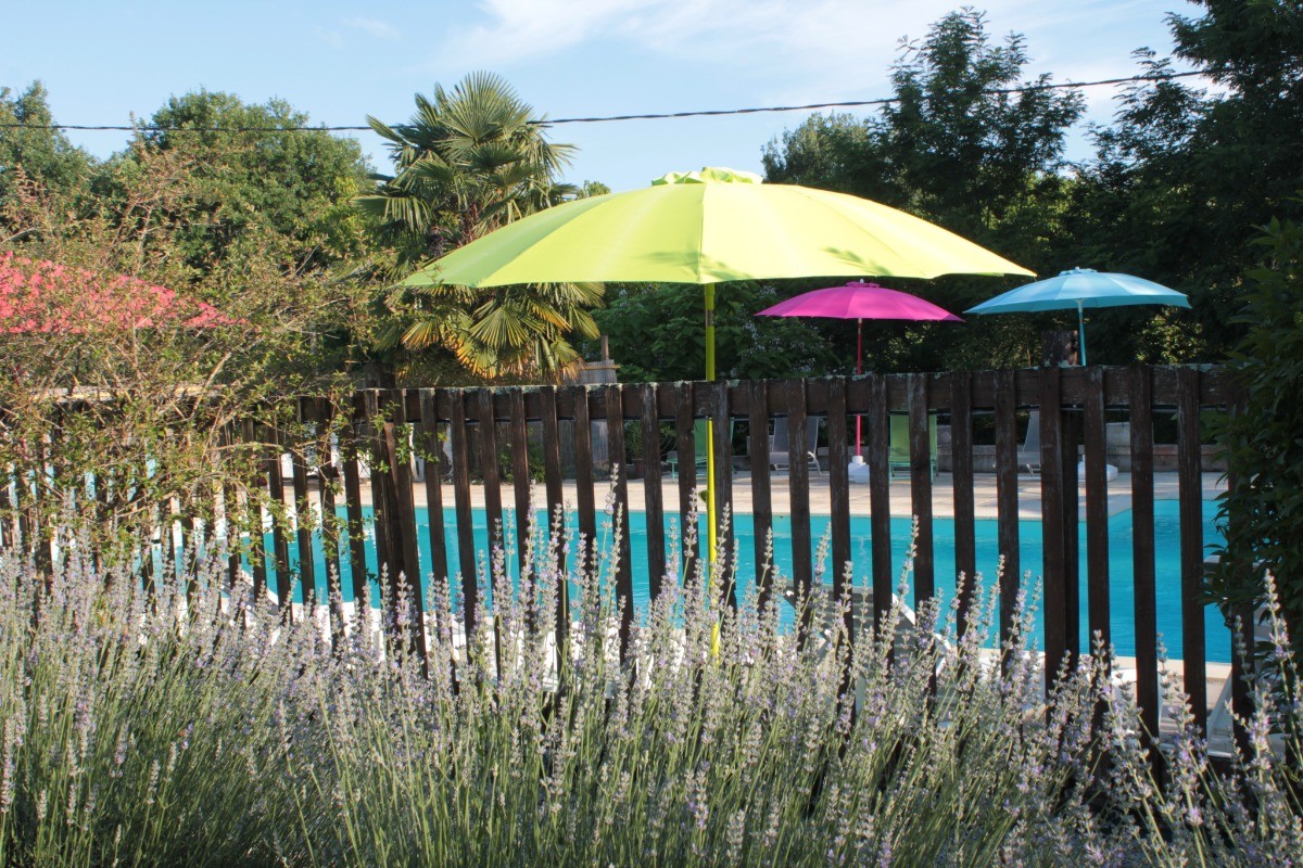 La piscine commune des gîtes de Peyrounou