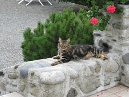 Image n° 4 de la location