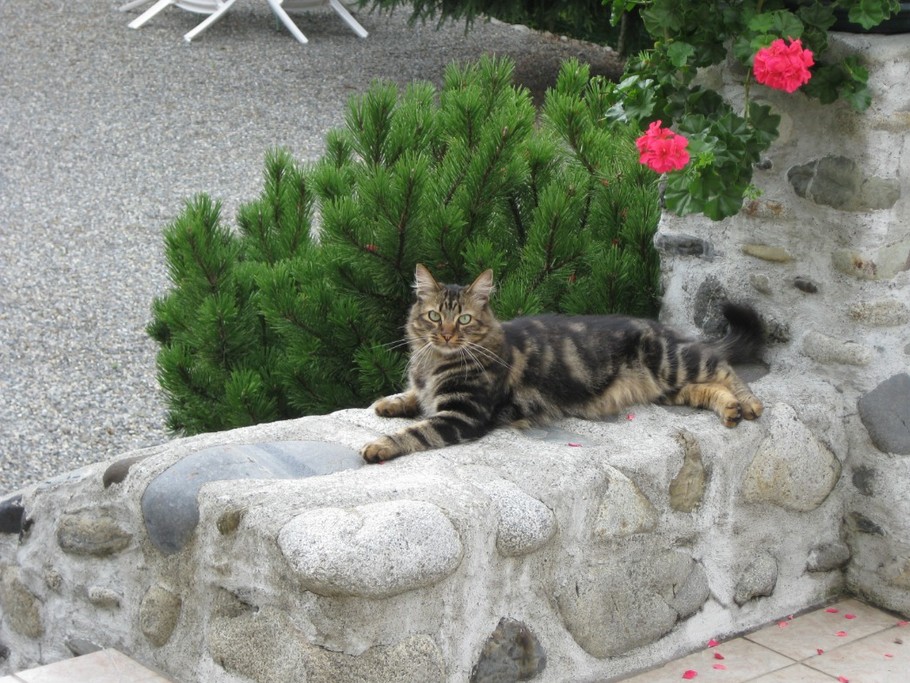 Photo n° 4 of the location