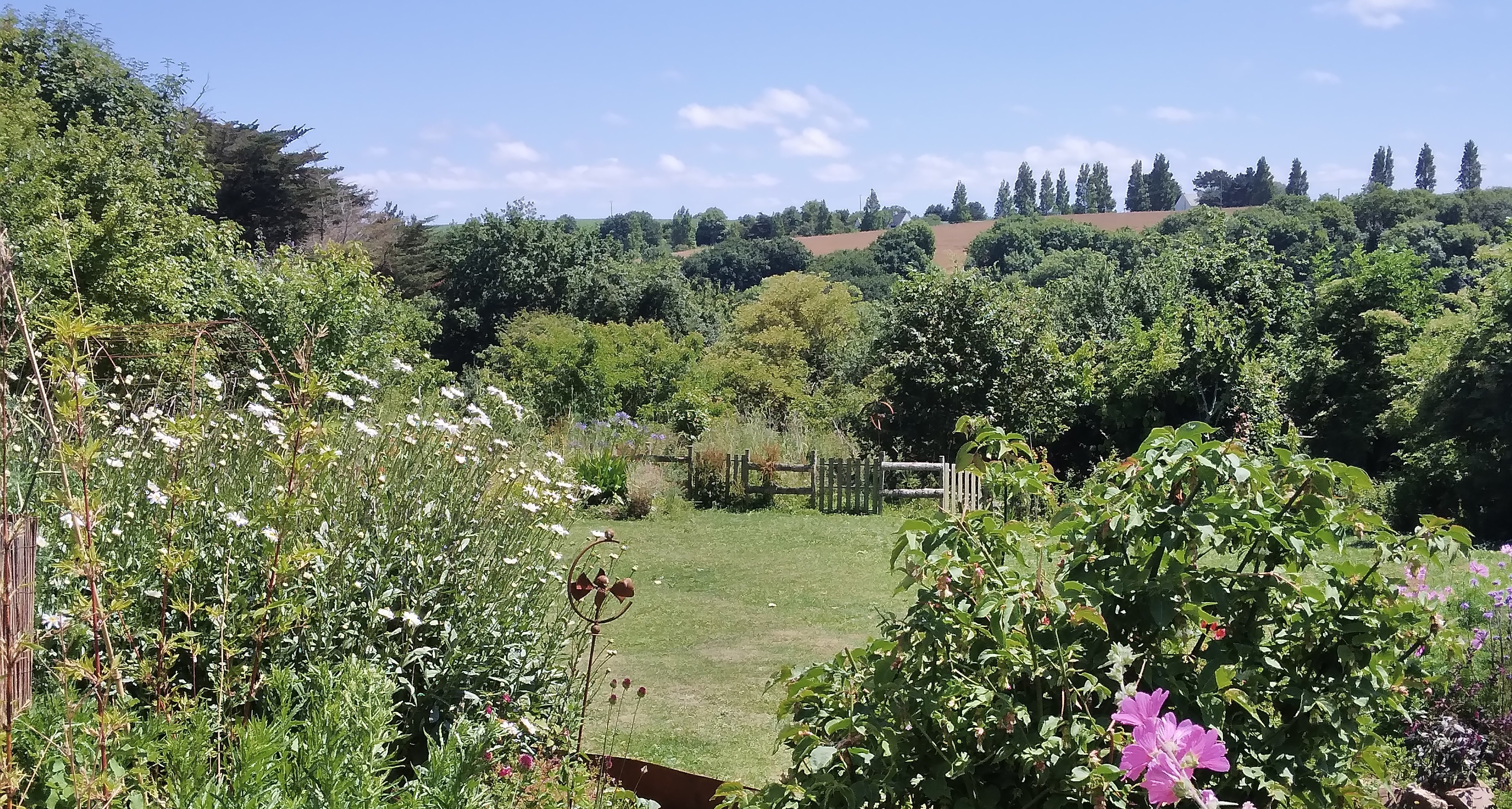 La vue sur le jardin en été