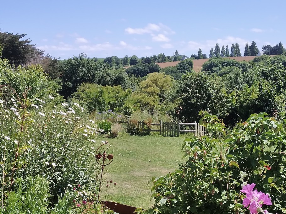 La vue sur le jardin en été