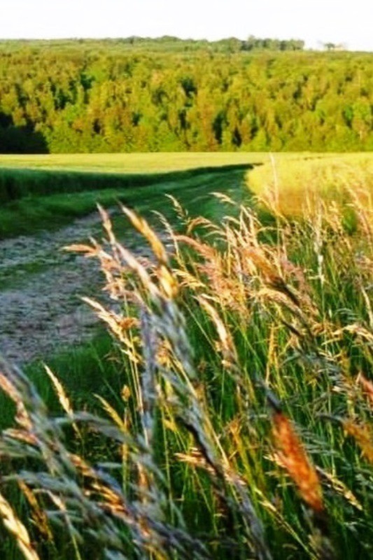 Ballades nature
