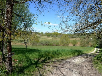 Photo n° 6 de la location