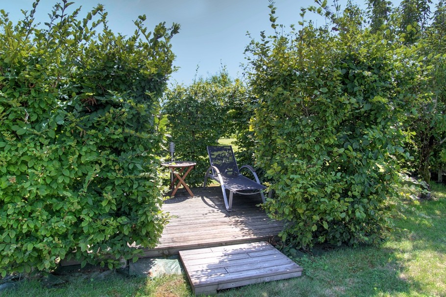 Détente et bains de soleil