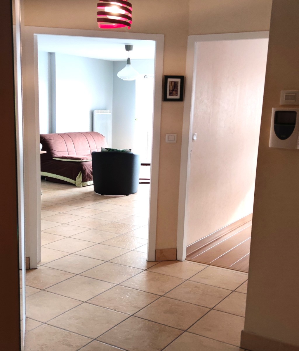 entrée de l'appartement avec salon en face