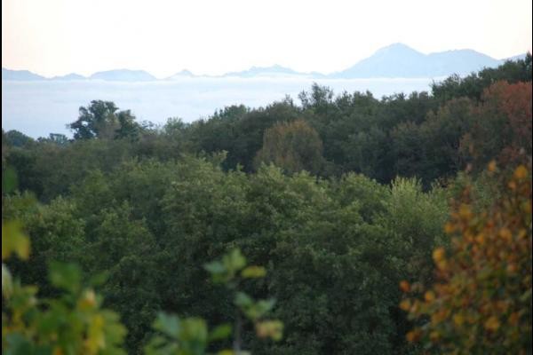 Vue sur les Pyrénées