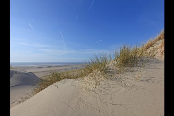 BALADE DANS LES DUNES